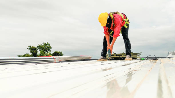 Best Gutter Installation and Repair  in Holly Springs, GA